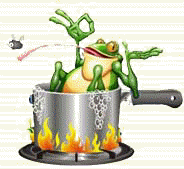 boiled frog